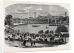 Review at the Crystal Palace of Cadets Attached to Metropolitan and Suburban Volunteer Corps by Anonymous