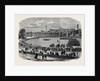 Review at the Crystal Palace of Cadets Attached to Metropolitan and Suburban Volunteer Corps by Anonymous