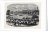 Review at the Crystal Palace of Cadets Attached to Metropolitan and Suburban Volunteer Corps by Anonymous