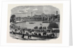 Review at the Crystal Palace of Cadets Attached to Metropolitan and Suburban Volunteer Corps by Anonymous