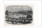 Review at the Crystal Palace of Cadets Attached to Metropolitan and Suburban Volunteer Corps by Anonymous