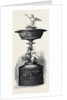 The Doncaster Cup by Anonymous