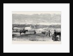 Presentation of Colours to the 36th Regiment by the Prince of Wales at the Curragh Camp by Anonymous