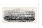 Square of the First Battalion of Grenadier Guards to which Brigaded with the 36th Regiment the Prince of Wales Was Attached by Anonymous