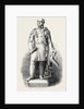 Statue of Sir John Franklin to Be Erected at Spilsby Lincolnshire by Anonymous