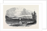 View of Lunenburg from Battery Point the Nova Scotian Goldfields by Anonymous