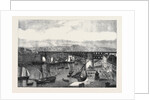 Monster Swing Bridge at Brest France by Anonymous