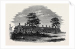 New Almshouses at Old Buckenham Near Attleborough Norfolk Founded by Mr. Robert Cocks by Anonymous