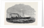 The Screw Clipper Yacht Gazelle by Anonymous