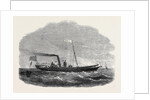 The Screw Clipper Yacht Gazelle by Anonymous