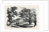 Worksop Manor the Residence of Lord Foley Visited by His Royal Highness Yesterday Week Visit of the Prince of Wales to Clumber October 26 1861 by Anonymous