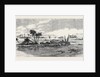 View on the Nile: Inundation of Villages and Encampment on the Bank of the Nile Inundation of the Nile by Anonymous