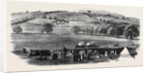 The New Range of the 1st Surrey Rifles Peckham Rye: Firing for the Prizes at the 550 Yards by Anonymous