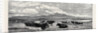 Cattle on the Sands Near Port Madoc North Wales, in Mr. Flatou's Collection by Anonymous