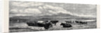 Cattle on the Sands Near Port Madoc North Wales, in Mr. Flatou's Collection by Anonymous