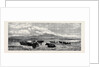 Cattle on the Sands Near Port Madoc North Wales, in Mr. Flatou's Collection by Anonymous