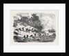 The Civil War in America: Retreat of the Federalists after the Fight at Ball's Bluff Upper Potomac Virginia by Anonymous