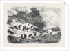The Civil War in America: Retreat of the Federalists after the Fight at Ball's Bluff Upper Potomac Virginia by Anonymous