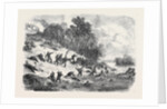 The Civil War in America: Retreat of the Federalists after the Fight at Ball's Bluff Upper Potomac Virginia by Anonymous