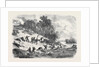 The Civil War in America: Retreat of the Federalists after the Fight at Ball's Bluff Upper Potomac Virginia by Anonymous