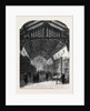 Shrewsbury Grammar School: The Library by Anonymous
