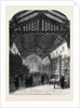 Shrewsbury Grammar School: The Library by Anonymous