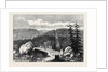 The Boundary Line Between the United States and Canada by Anonymous