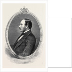 His Late Royal Highness the Prince Consort from a Photograph Taken Shortly Before His Death by Mayall by Anonymous