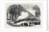 Firing Minute Guns in the Long Walk Windsor Park the Funeral of His Late Royal Highness the Prince Consort by Anonymous