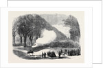 Firing Minute Guns in the Long Walk Windsor Park the Funeral of His Late Royal Highness the Prince Consort by Anonymous