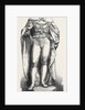 William IV by Anonymous