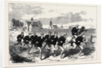 The Oxford and Cambridge Boat Race: The Cambridge Crew Training on Barnes Common 1868 by Anonymous
