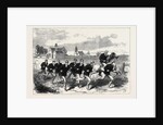The Oxford and Cambridge Boat Race: The Cambridge Crew Training on Barnes Common 1868 by Anonymous