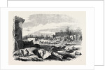 Demolition of the Paris Exhibition Building the Park 1868 by Anonymous