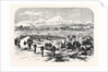 Chassepot Rifle Instruction at the Camp of St. Maur Vincennes 1868 by Anonymous