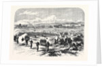 Chassepot Rifle Instruction at the Camp of St. Maur Vincennes 1868 by Anonymous