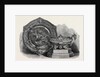 The Ascot Cup and Queen's Cup Won at Ascot Races 1868 by Anonymous