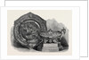 The Ascot Cup and Queen's Cup Won at Ascot Races 1868 by Anonymous