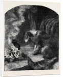 The Poetry of Nature: The Old Shepherd's Dog by Anonymous