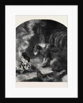 The Poetry of Nature: The Old Shepherd's Dog by Anonymous