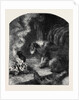 The Poetry of Nature: The Old Shepherd's Dog by Anonymous