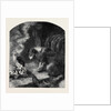 The Poetry of Nature: The Old Shepherd's Dog by Anonymous