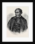 The New Zealand Chief Tamati Waka a Friend to European Settlers by Anonymous