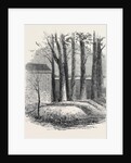 Close of the War with China: Graves of Lieut. Anderson Private Phipps and Messrs. De Norman and Bowlby in the Russian Cemetery Pekin by Anonymous