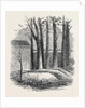 Close of the War with China: Graves of Lieut. Anderson Private Phipps and Messrs. De Norman and Bowlby in the Russian Cemetery Pekin by Anonymous