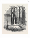 Close of the War with China: Graves of Lieut. Anderson Private Phipps and Messrs. De Norman and Bowlby in the Russian Cemetery Pekin by Anonymous