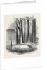 Close of the War with China: Graves of Lieut. Anderson Private Phipps and Messrs. De Norman and Bowlby in the Russian Cemetery Pekin by Anonymous