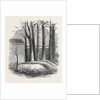 Close of the War with China: Graves of Lieut. Anderson Private Phipps and Messrs. De Norman and Bowlby in the Russian Cemetery Pekin by Anonymous