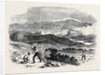 Garibaldi Digging Roots in His Favourite Garden Caprera by Anonymous