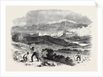 Garibaldi Digging Roots in His Favourite Garden Caprera by Anonymous